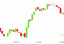 Market Wrap:’Elon Candle’ Impact Fades Quickly as Bitcoin Retreats Below $55K
