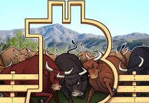 Stock-to-flow Founder does Not Believe Bitcoin’s bull market is Completed