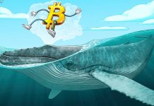 Bitcoin uptrend not over: Enormous whales are Not selling BTC, Information Reveals