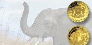 An elephant coin that Is Shed weight