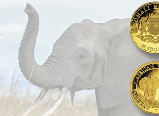 An elephant coin that Is Shed weight