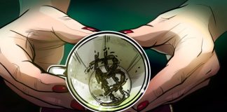 Cathie Wood States Elon Musk will return to’green’ Bitcoin, ETF is Currently more Inclined