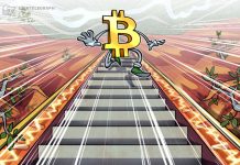 Two Bitcoin Cost indicators Indicate BTC has N’t bottomed yet