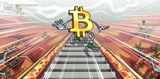 Two Bitcoin Cost indicators Indicate BTC has N’t bottomed yet