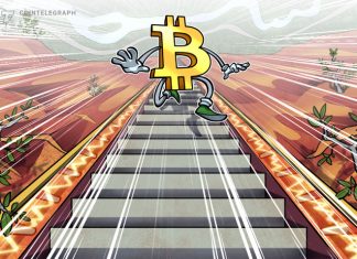 Two Bitcoin Cost indicators Indicate BTC has N’t bottomed yet
