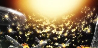 MicroStrategy doubles down on its own Bitcoin wager