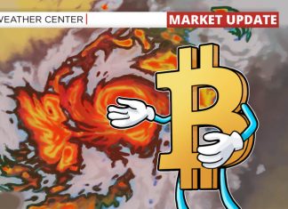 Bitcoin Cost Drops below $37K amid Small Expectation of a weekend Dip