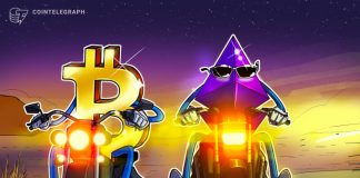 Just HODL! Bitcoin and Ethereum outperform crypto index funds with lower risk