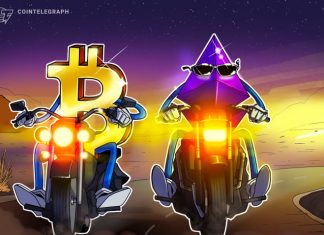 Just HODL! Bitcoin and Ethereum outperform crypto index funds with lower risk