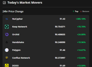 After Bitcoin’s ETF news spurs a rally across the market, privacy-oriented altcoins soar