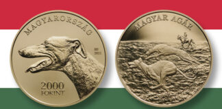 Hungary releases the hounds as part of an ongoing series