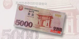 North Korea issues new foreign currency vouchers