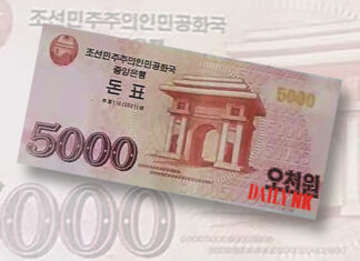 North Korea issues new foreign currency vouchers