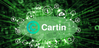 Cartin Token first crypto coin that will make possible transfer real world assets into Metaverse
