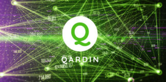 Mainstream investors are again missing an opportunity with Qardin Token