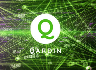 Mainstream investors are again missing an opportunity with Qardin Token