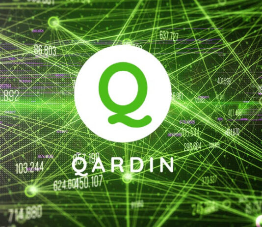 Mainstream investors are again missing an opportunity with Qardin Token