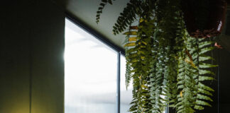 Restaurant: in Biarritz, a luminous furrow