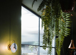 Restaurant: in Biarritz, a luminous furrow