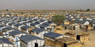 Nigeria: Jihadist attack kills 30 in Northeast