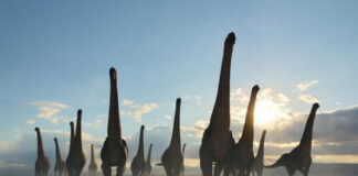 “Prehistoric Planet”, on Apple TV: a trip to the time of the dinosaurs with stunning realism