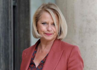 Monkey pox: five “proven” cases currently identified in France