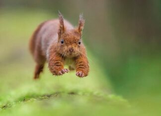“Paris ville nature”, on France 3 Ile-de-France: rediscover the streets, squares, woods and rooftops of Paris