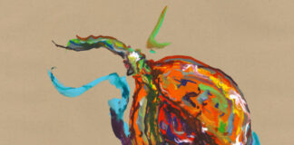 Nutmeg, one product, two possibilities