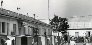 ” The injury. The tragedy of the harkis”, on France 5: a past that does not pass on both sides of the Mediterranean