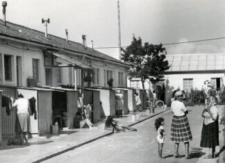 ” The injury. The tragedy of the harkis”, on France 5: a past that does not pass on both sides of the Mediterranean