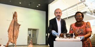 Germany hands over to Namibia 23 ancient objects stolen during colonization