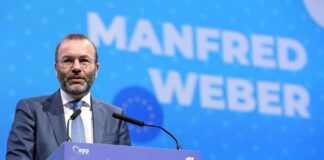 German Manfred Weber elected leader of European People’s Party