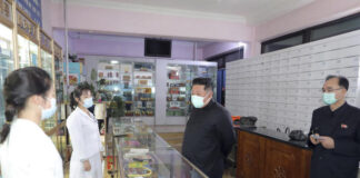 Overwhelmed by the first cases of Covid-19, North Korea mobilizes the army