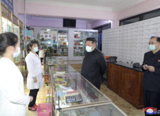 Overwhelmed by the first cases of Covid-19, North Korea mobilizes the army