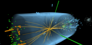 Physicists wonder if the Higgs boson is hermaphroditic