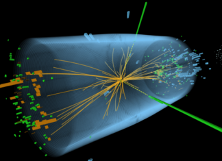 Physicists wonder if the Higgs boson is hermaphroditic