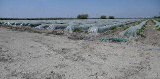 After a record month of May, France is heading for a hotter and drier than normal summer