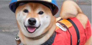 Artificial intelligence: these new software capable of creating images from texts