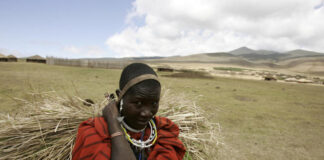 Tanzania maintains wildlife export ban