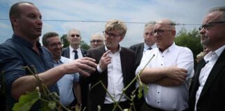 Hail: a series of measures activated to relieve affected farms