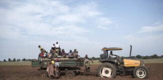 Soaring Food Prices: Local Cultures to Africa’s Rescue