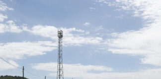 In Haute-Loire, a 4G antenna suspected of disturbing a herd of cows will be arrested