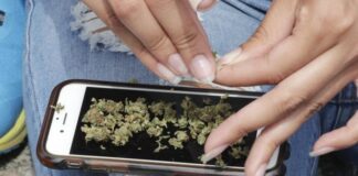 Organized crime: “The traffickers who think they are untouchable must understand that they are not”