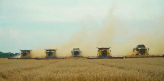 “Cash Investigation”, on France 2: the common agricultural policy and its excesses