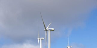 In Galicia, environmentalists protest against “wind invasion”