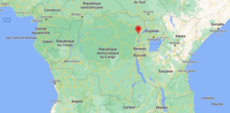 DRC: At least 20 civilians killed in new massacre in Ituri