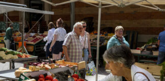 The uncertain future of the food voucher, postponed again