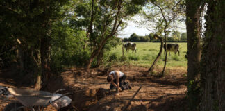 In Normandy, the landing of archaeologists on the scene of D-Day