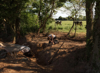 In Normandy, the landing of archaeologists on the scene of D-Day