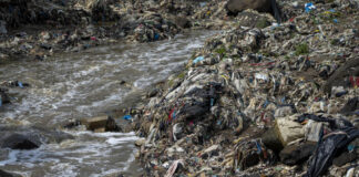 Guatemala: A giant fence will try to contain 2% of the waste that pours into the oceans